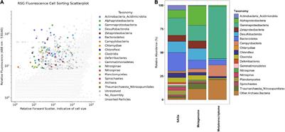 Oceanic Crustal Fluid Single Cell Genomics Complements Metagenomic and Metatranscriptomic Surveys With Orders of Magnitude Less Sample Volume